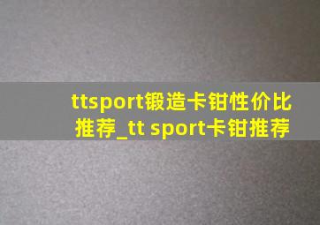 ttsport锻造卡钳性价比推荐_tt sport卡钳推荐